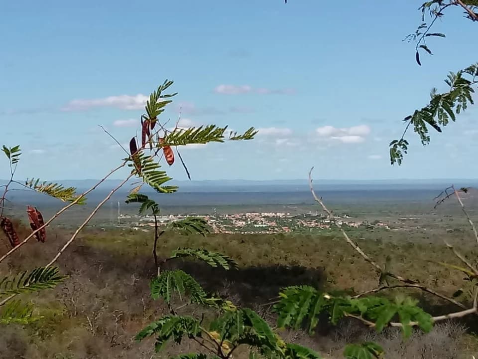 Registro de marca
