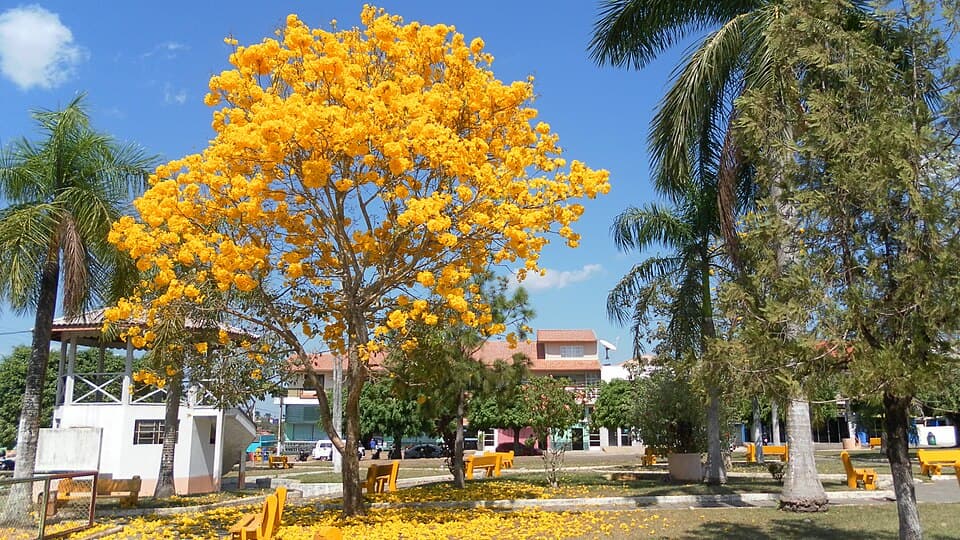 Registro de marca