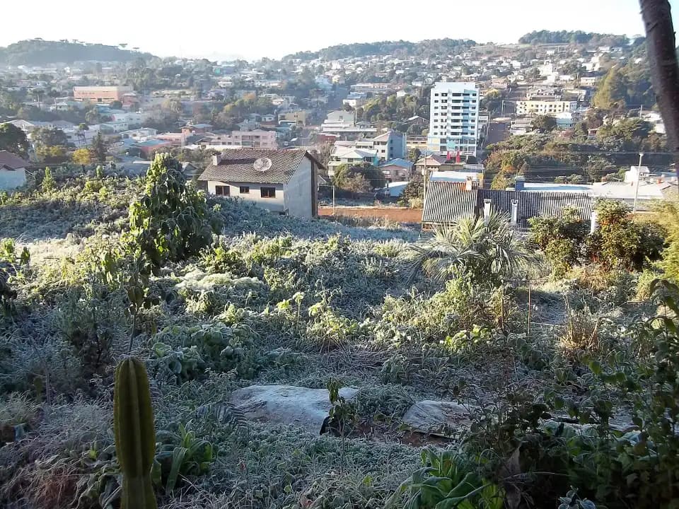 Registro de marca