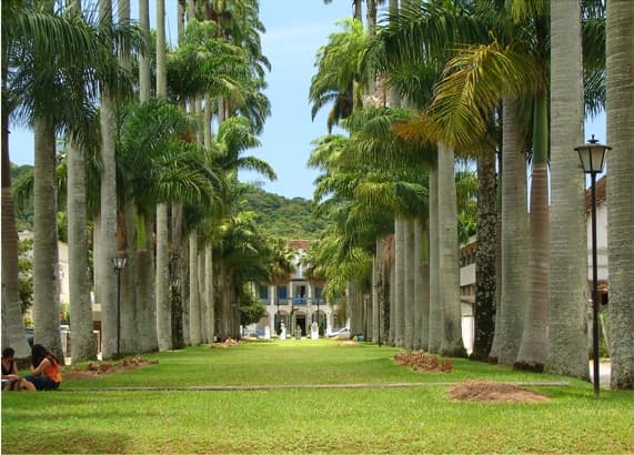 Registro de marca