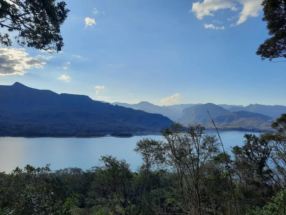 Registro de marca