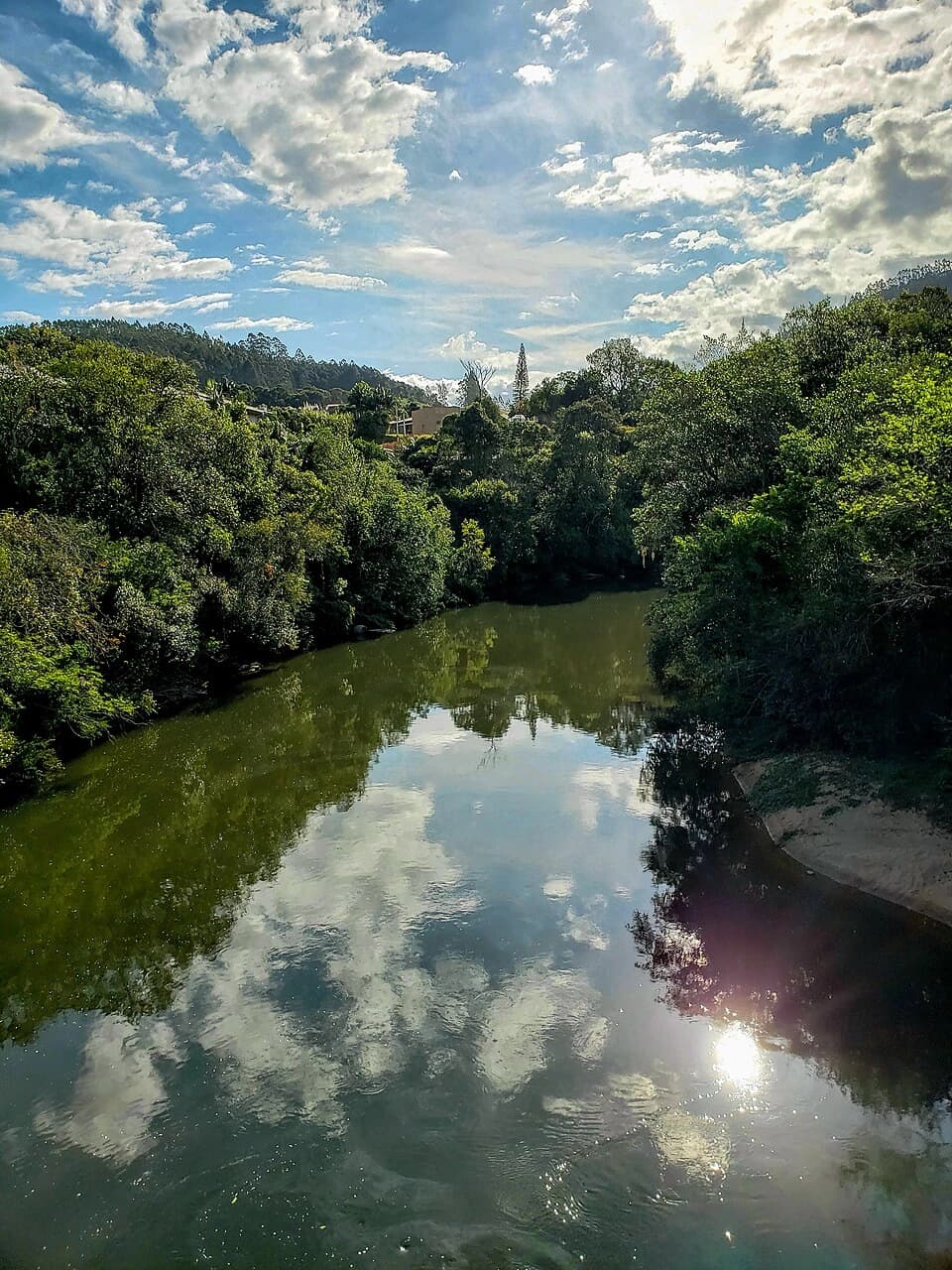 Registro de marca