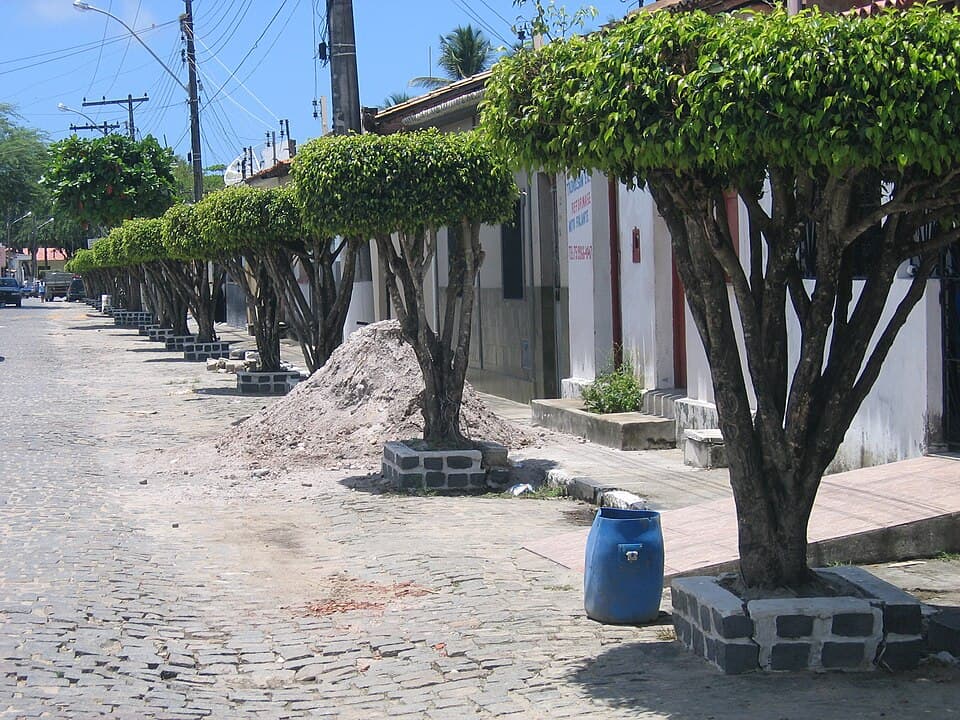 Registro de marca
