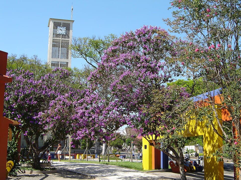 Registro de marca