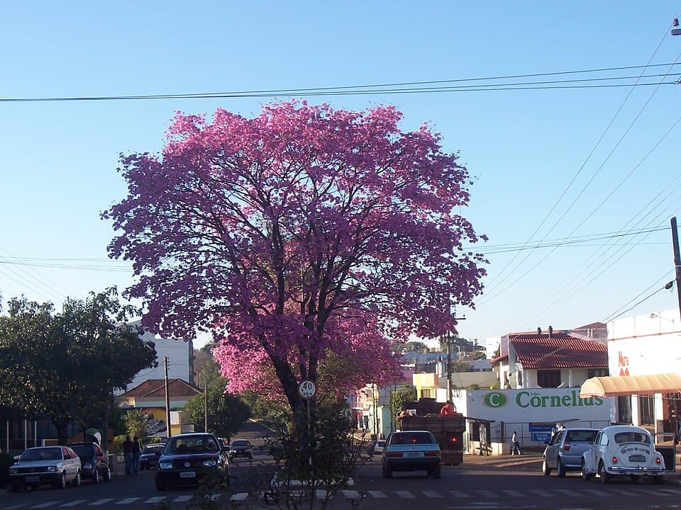 Registro de marca