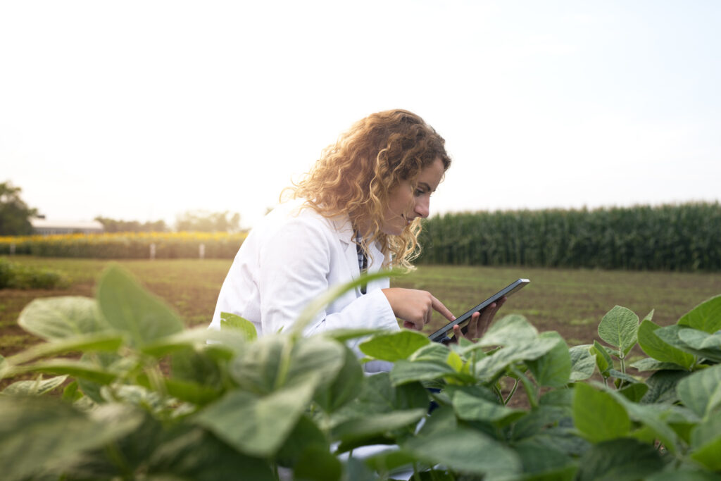 Female agronomist checking crops in the field with tablet computer